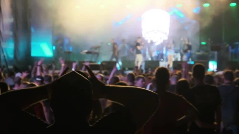Video Stock Person Raising Hands At A Concert Live Wallpaper Free - Free Live Wallpaper