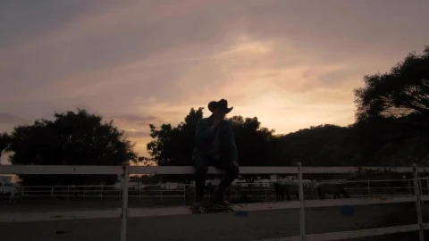 Video Stock Person Sitting On A Fence Silhouetted In Front Of The Live Wallpaper Free - Free Live Wallpaper