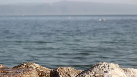 Video Stock Person Standing On A Rock By The Seashore Live Wallpaper Free - Free Live Wallpaper