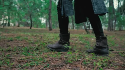 Video Stock Person Walking In A Forest Live Wallpaper Free - Free Live Wallpaper
