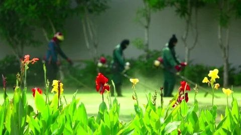 Video Stock Personel Cutting The Garden Grass Live Wallpaper Free - Free Live Wallpaper