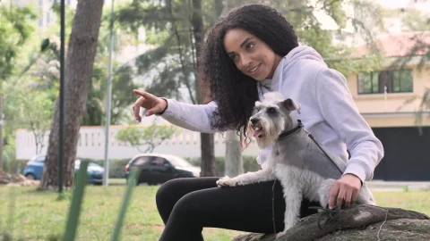 Video Stock Pet Owner Spending Time With His Little Dog In A Live Wallpaper Free - Free Live Wallpaper