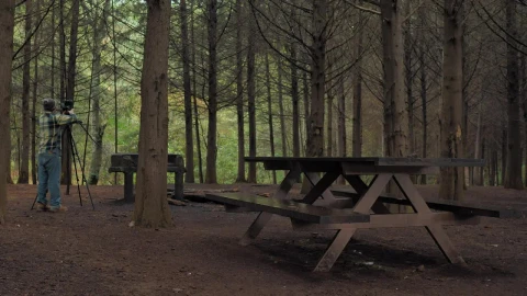Video Stock Photographer In A Forest Live Wallpaper Free - Free Live Wallpaper