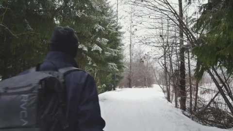 Video Stock Photographer Walking On Snow In A Forest Live Wallpaper Free - Free Live Wallpaper