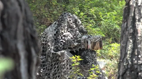 Video Stock Photographer Wearing Camouflage In The Woods Live Wallpaper Free - Free Live Wallpaper
