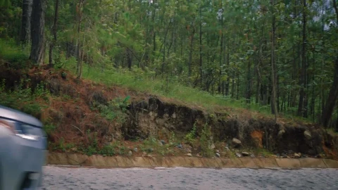 Video Stock Pickup Truck Driving Along An Asphalt Road Through A Forest Live Wallpaper Free - Free Live Wallpaper