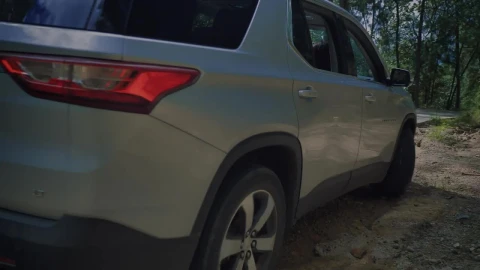Video Stock Pickup Truck Leaves On A Road In A Forest Live Wallpaper Free - Free Live Wallpaper