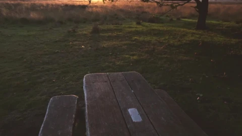 Video Stock Picnic Bench In The Woods Live Wallpaper Free - Free Live Wallpaper