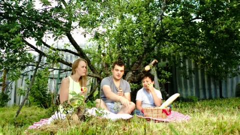 Video Stock Picnic In The Garden Live Wallpaper Free - Free Live Wallpaper