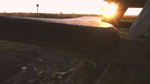 Video Stock Picnic Table In The Forest At Sunset Live Wallpaper Free - Free Live Wallpaper