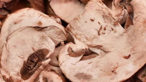 Video Stock Pile Of Sliced Mushrooms Viewed Very Closely Live Wallpaper Free - Free Live Wallpaper