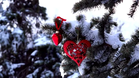 Video Stock Pine Branch Covered In Snow With Decoration Live Wallpaper Free - Free Live Wallpaper