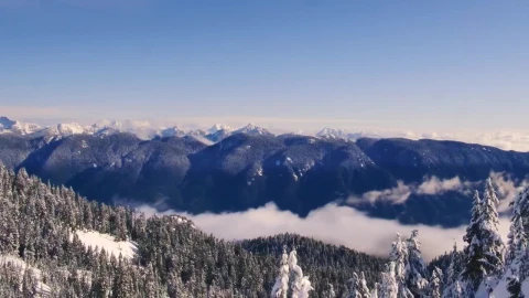 Video Stock Pine Covered Snowy Mountain Range Live Wallpaper Free - Free Live Wallpaper