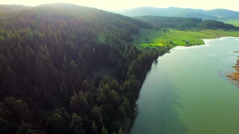 Video Stock Pine Forest And Lake Landscape Live Wallpaper Free - Free Live Wallpaper