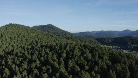 Video Stock Pine Forest On A Mountain Range Tour Aerial Shot Live Wallpaper Free - Free Live Wallpaper
