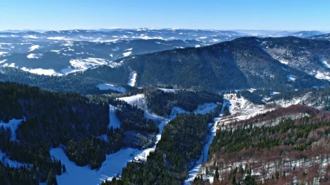 Video Stock Pine Forests In Snowy Mountains Aerial Landscape Live Wallpaper Free - Free Live Wallpaper