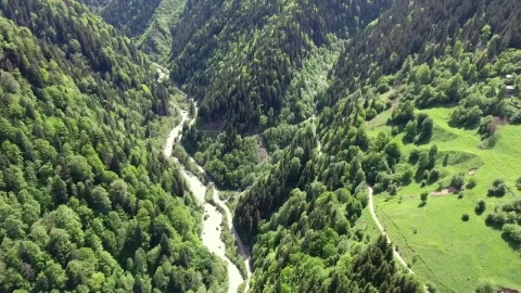 Video Stock Pine Mountains With A Small Village In A Meadow Live Wallpaper Free - Free Live Wallpaper