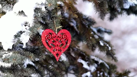 Video Stock Pine Tree Covered In Snow With Decoration Live Wallpaper Free - Free Live Wallpaper