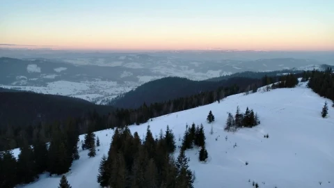 Video Stock Pine Trees In A Winter Mountain At Sunset Live Wallpaper Free - Free Live Wallpaper
