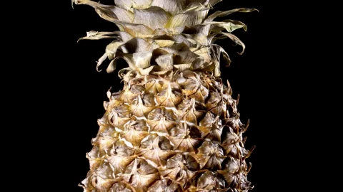 Video Stock Pineapple Fruit Rotating Live Wallpaper Free - Free Live Wallpaper