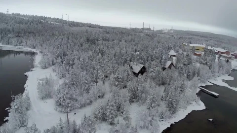 Video Stock Pines Covered In Snow Live Wallpaper Free - Free Live Wallpaper