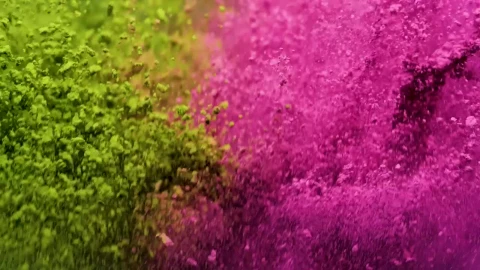 Video Stock Pink And Yellow Powder Jumping Live Wallpaper Free - Free Live Wallpaper