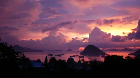 Video Stock Pink Sunset On A Tropical Landscape Live Wallpaper Free - Free Live Wallpaper
