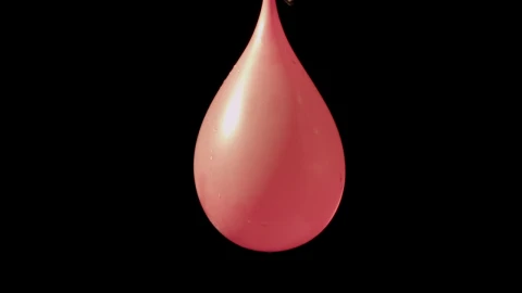 Video Stock Pink Water Balloon Live Wallpaper Free - Free Live Wallpaper