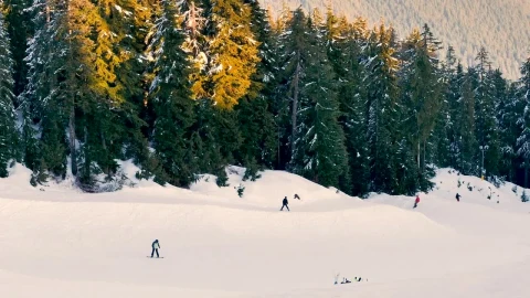 Video Stock Plain Near A Forest With Skiers Live Wallpaper Free - Free Live Wallpaper