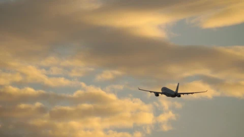 Video Stock Plane Flying Up Towards The Evening Sky Live Wallpaper Free - Free Live Wallpaper