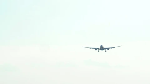 Video Stock Plane Landing In The Early Morning Live Wallpaper Free - Free Live Wallpaper