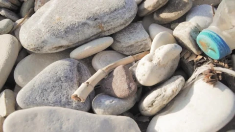 Video Stock Plastic Bottle Lying On The Beach Live Wallpaper Free - Free Live Wallpaper