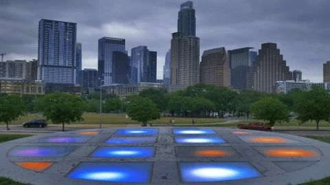 Video Stock Platform With Lights In A Park Within A Big City Live Wallpaper Free - Free Live Wallpaper