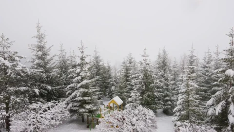 Video Stock Playground In A Snowy Forest Live Wallpaper Free - Free Live Wallpaper