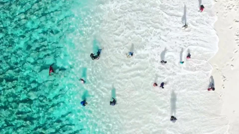 Video Stock Playing At The Beach Live Wallpaper Free - Free Live Wallpaper
