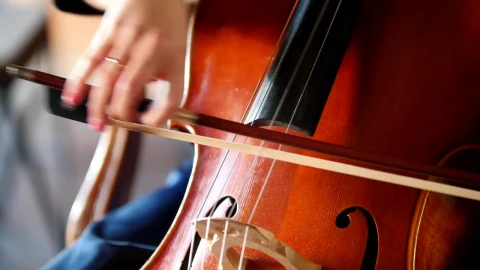 Video Stock Playing The Cello Close Up Live Wallpaper Free - Free Live Wallpaper