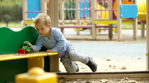Video Stock Playing With A Plastic Digger Live Wallpaper Free - Free Live Wallpaper