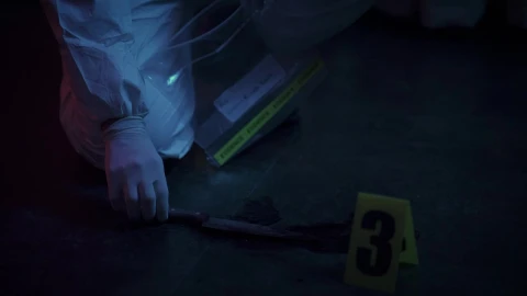 Video Stock Police Forensic Guarding Evidence At A Crime Scene Live Wallpaper Free - Free Live Wallpaper