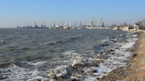 Video Stock Polluted Waters By An Industrial Port Live Wallpaper Free - Free Live Wallpaper