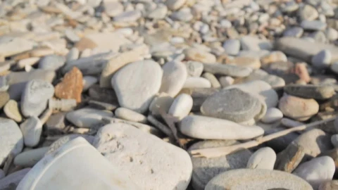 Video Stock Pollution On The Beach Live Wallpaper Free - Free Live Wallpaper