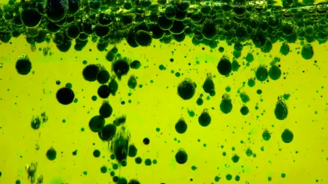 Video Stock Pond With Green Oil Bubbles Live Wallpaper Free - Free Live Wallpaper