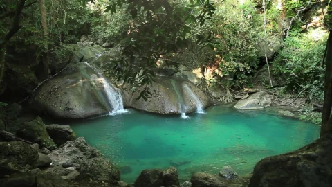 Video Stock Pool With Waterfalls In The Jungle Live Wallpaper Free - Free Live Wallpaper