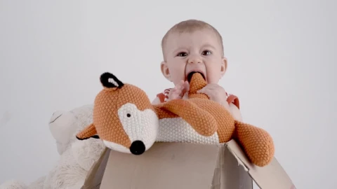 Video Stock Portrait Of A Baby With Teddies Live Wallpaper Free - Free Live Wallpaper