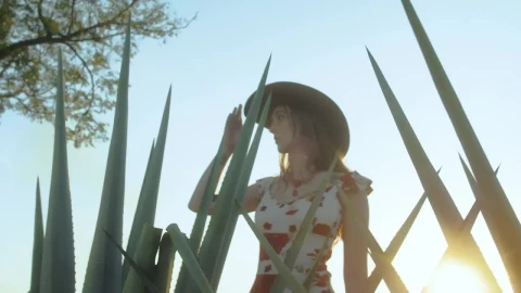 Video Stock Portrait Of A Girl In A Sunny Maguey Field Live Wallpaper Free - Free Live Wallpaper