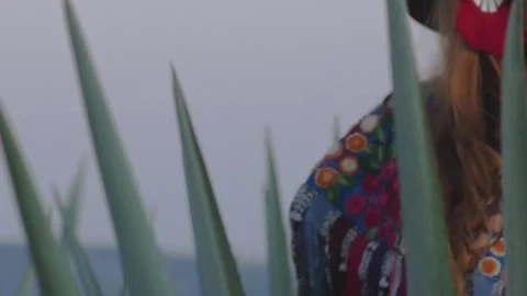 Video Stock Portrait Of A Girl In Mexican Attire Among Magueys Live Wallpaper Free - Free Live Wallpaper