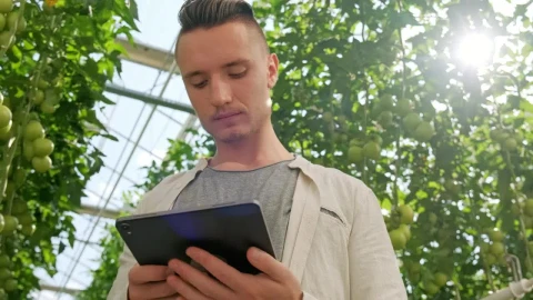 Video Stock Portrait Of A Man Using A Tablet At A Greenhouse Live Wallpaper Free - Free Live Wallpaper