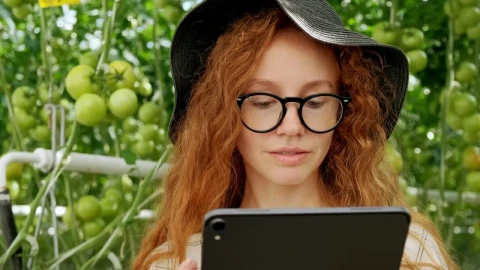 Video Stock Portrait Of A Young Agronomist In A Greenhouse Live Wallpaper Free - Free Live Wallpaper