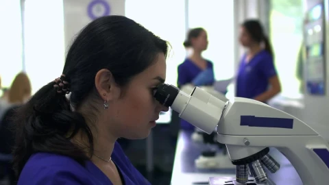 Video Stock Portrait Of Woman Working In A Laboratory Live Wallpaper Free - Free Live Wallpaper
