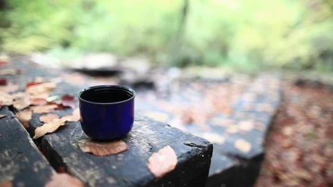 Video Stock Pouring Tea At The Cabin In The Woods Live Wallpaper Free - Free Live Wallpaper