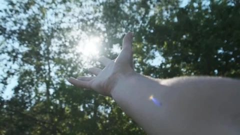 Video Stock Pov Of A Persons Hand Touching The Sun Live Wallpaper Free - Free Live Wallpaper